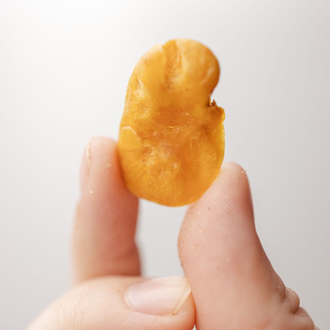 The Ingredient Series: Fava Beans - Absurd Snacks