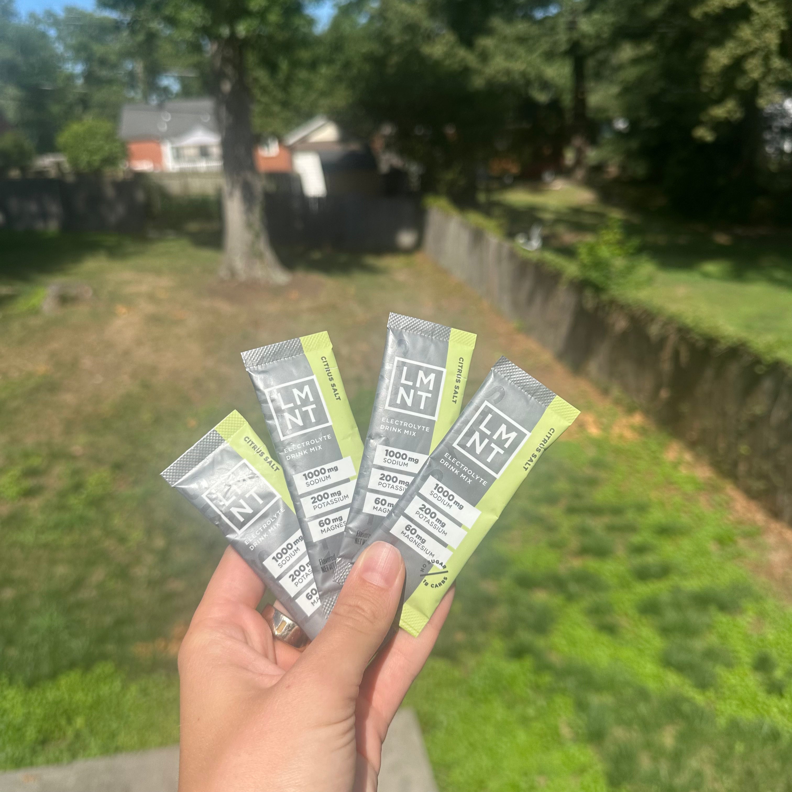 Summer Hydration – Absurd Snacks