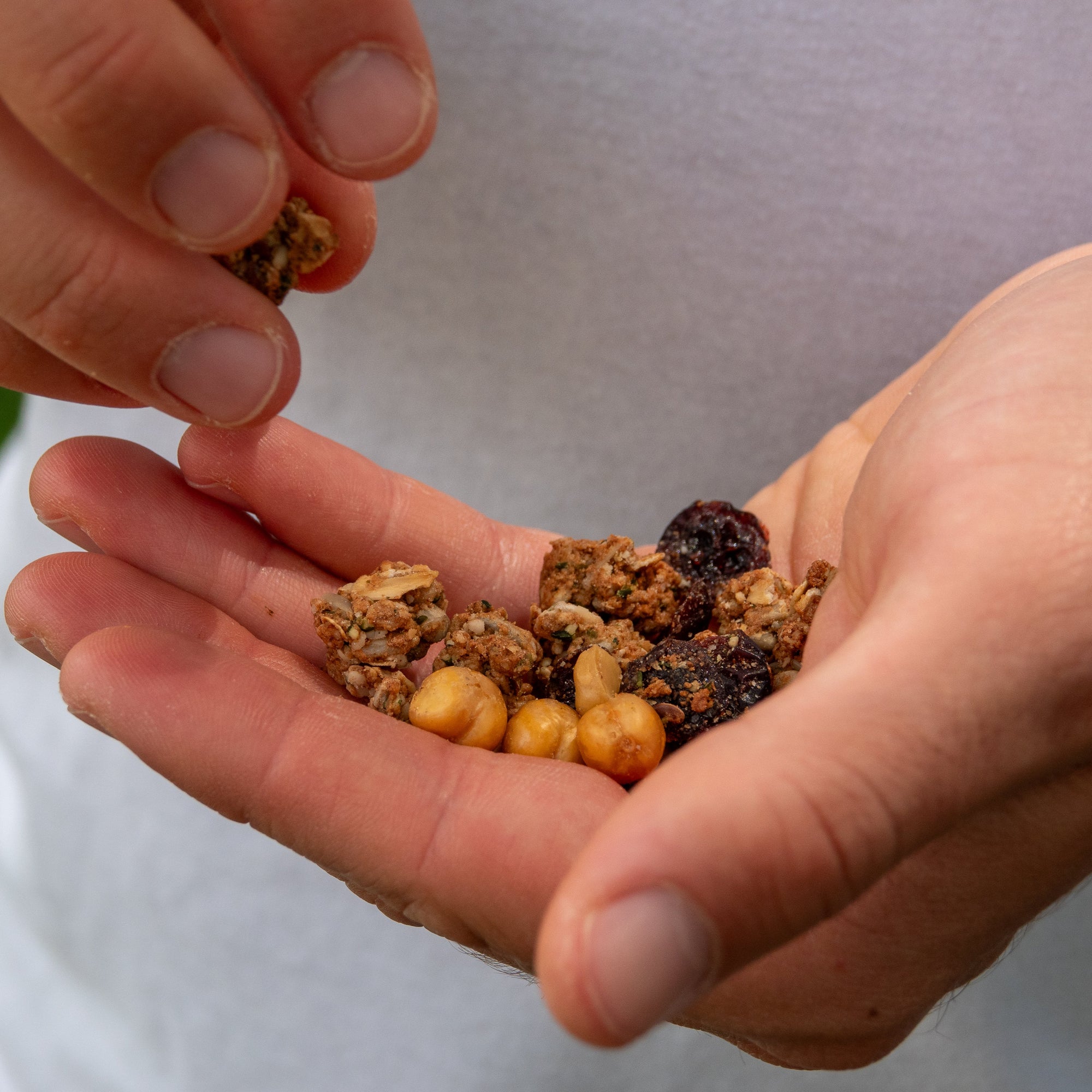 healthy snack simple ingredients